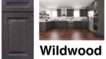 Contemporary Wildwood Kitchen Cabinets by 21st Century Cabinetry, available at Cabinet EZ in Clinton, MD