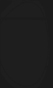 GoldenHome Cabinets Delight Series Kitchen Cabinets in Matte Black Color